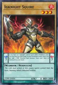 Igknight Squire